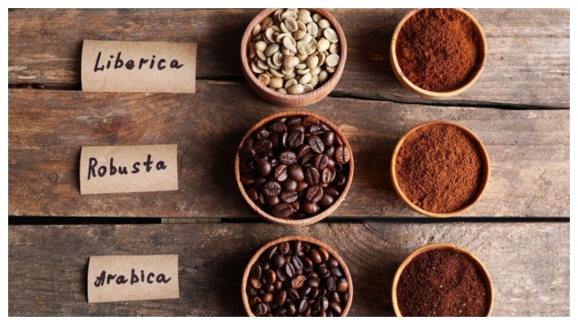 All Types of Coffee and Fun Facts about Coffee