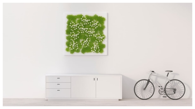 Is Minimalism Just a Flex for the Privileged?