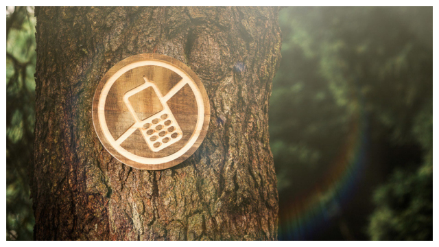 Digital Detox vs Nature Retreat: Which One Truly Recharges Your Mind?