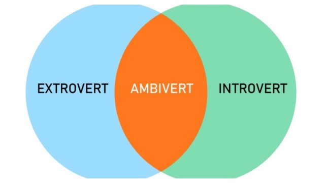 Introvert vs Extrovert Self-Care: Tailoring Wellness to Your Personality Type
