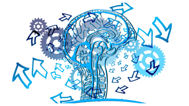 Willpower vs Environment: Which One Truly Controls Your Habits?