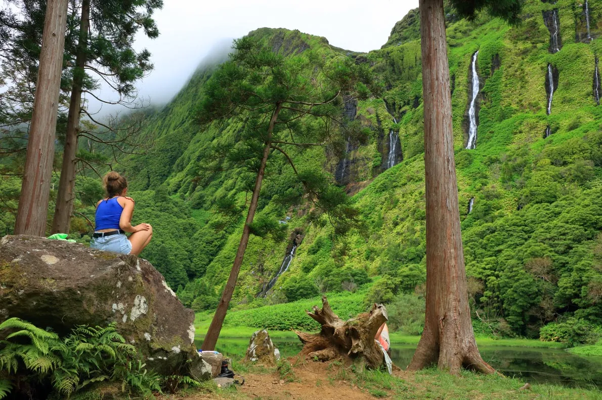 Digital Detox vs Nature Retreat