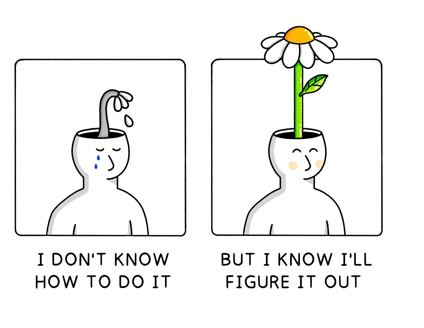 growth mindset vs fixed mindset
