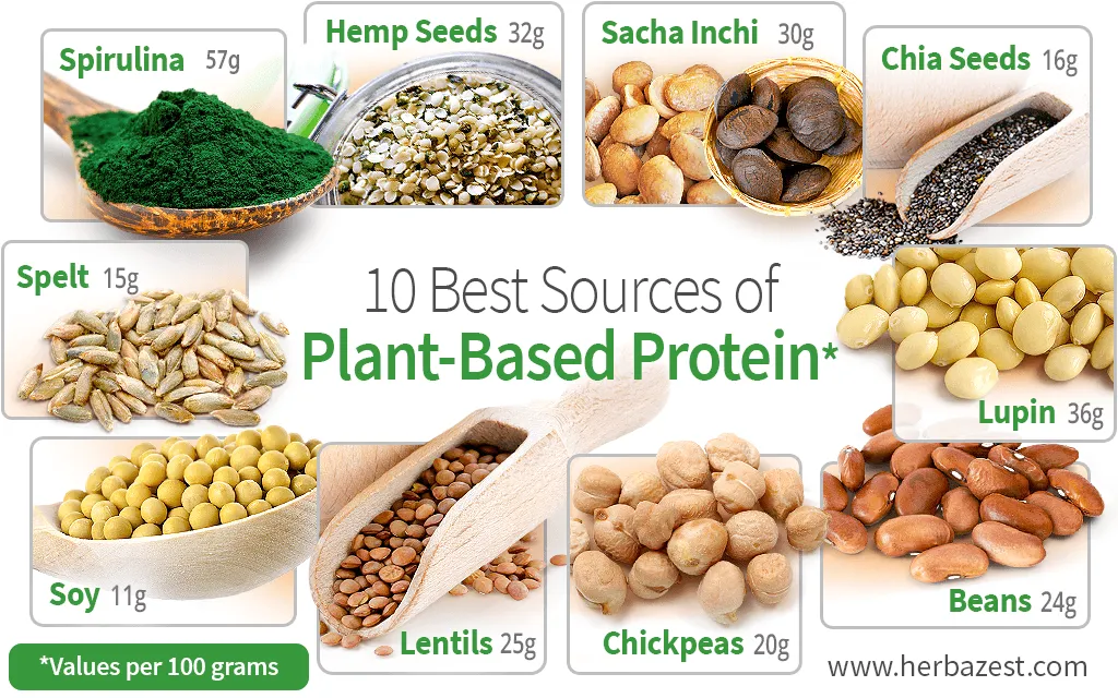 Health Benefits of a Plant-Based Diet