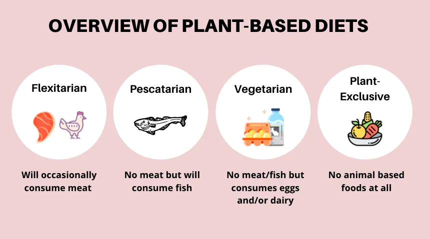What is a Plant-Based Diet