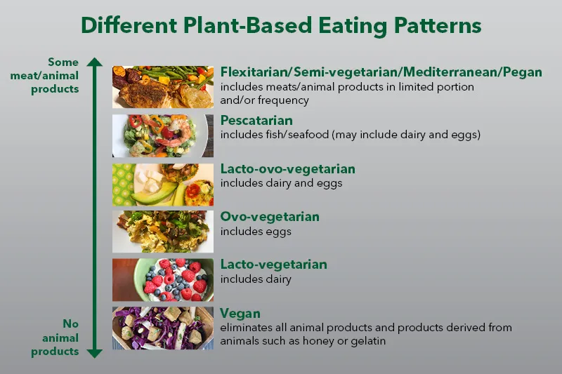 How to Start a Plant-Based Diet
