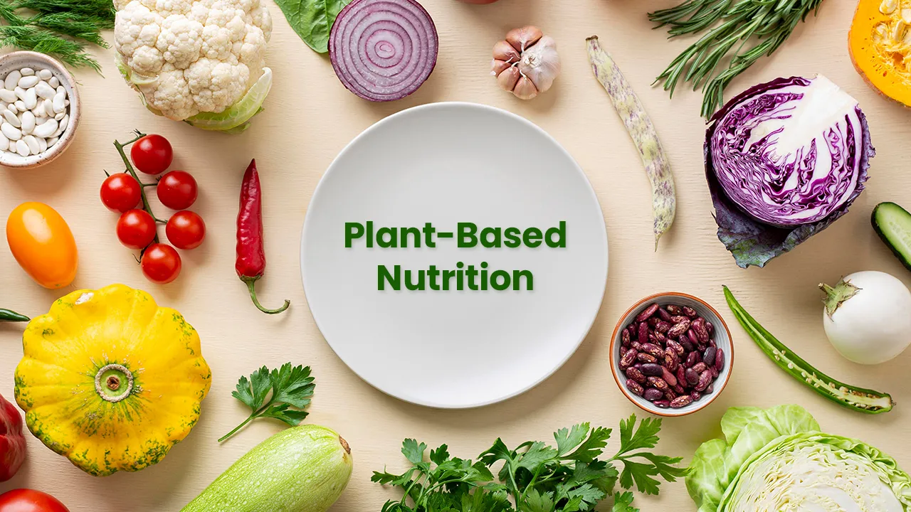 How to Start a Plant-Based Diet