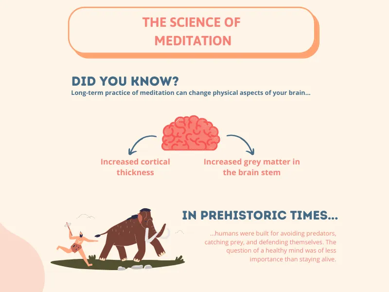 Mindfulness Meditation